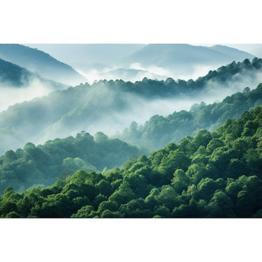 Tableau Forêt Brume